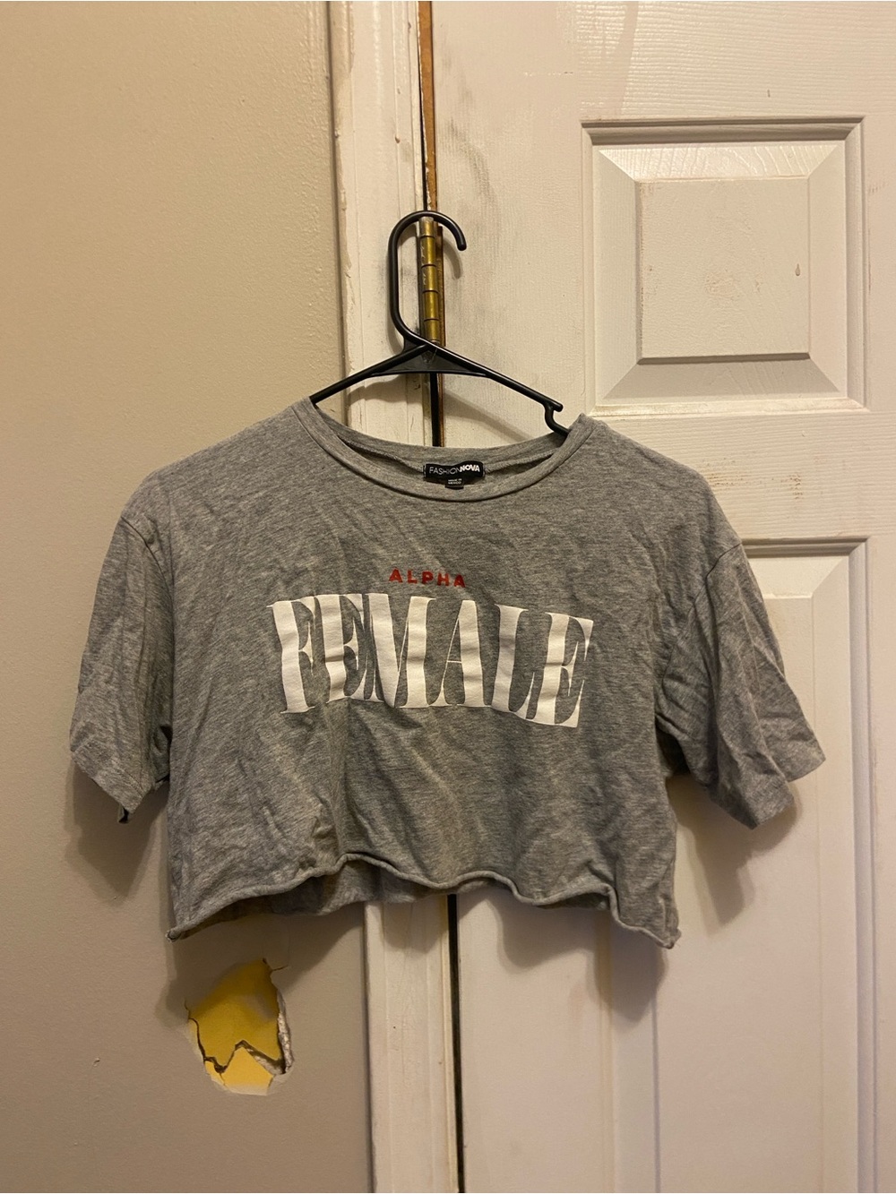 Fashion Nova Gray "Alpha FEMALE" Graphic Crop Top